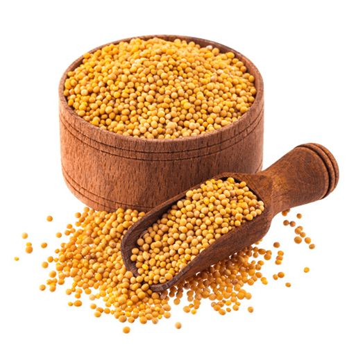 Yellow Mustard Seeds, Packaging Type : Plastic Packet