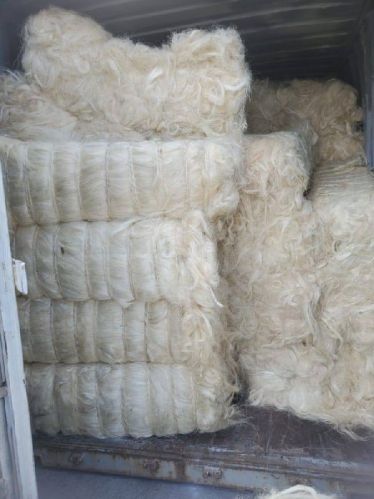 Raw Natural Sisal Fibre, Packaging Type : White
