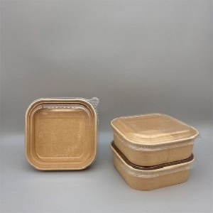 Square Brown Paper Food Containers, Pattern : Plain
