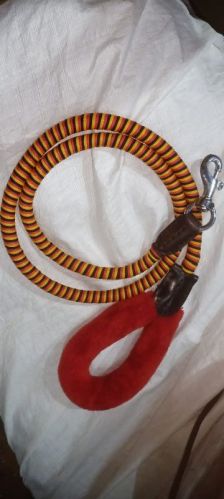 Nylon Dog Lead