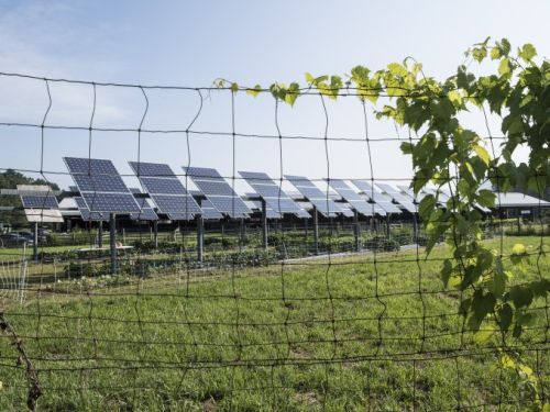 Solar Farm Fencing Service