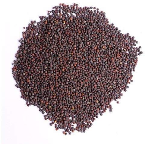 Mustard Seeds, Color : Brown