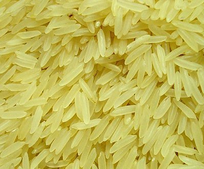 Organic Parboiled Basmati Rice, Packaging Type : Plastic Sack Bags