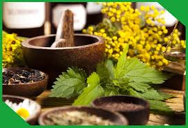 Bams Bums Bhms Admissions Guidance Service