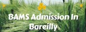 Top Ayurvedic Medical Colleges BAMS Admission In Uttar Pradesh