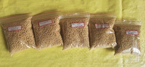 Natural Urad Dal, For Cooking, Certification : FSSAI Certified