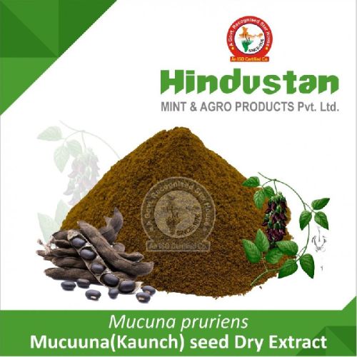 Mucuna(Kaunch) Seed Dry Extract, Packaging Size : 25 Kg