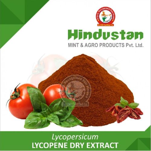 Tomato Dry Extract, Packaging Size : 25 Kg