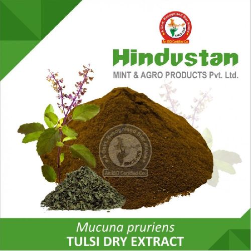 Tulsi Dry Extract, Packaging Size : 25 Kg