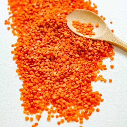 Organic Red Lentil, Shelf Life : 1year