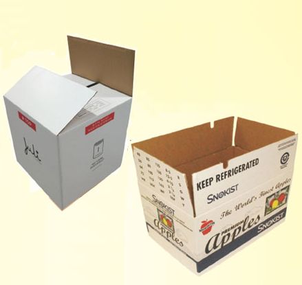 Rectangular Printed Duplex Master Carton, For Goods Packaging, Color : Multicolored