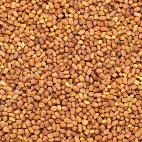 Common Kalmegh Seeds