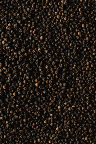 Black Pepper For Spices