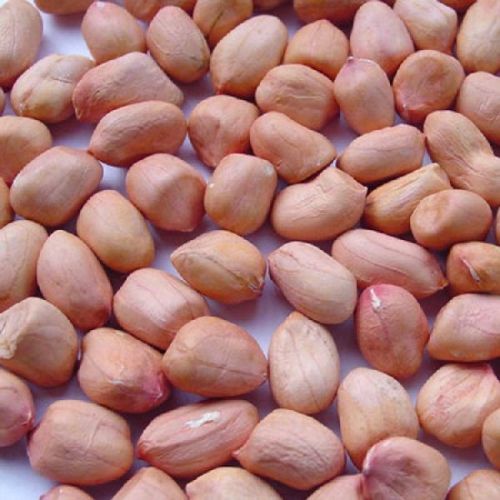 Organic Peanut Seeds, For Cooking Use, Making Oil, Feature : Fine Taste