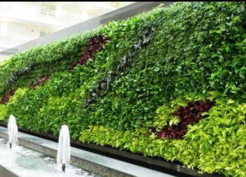 Steel Natural Vertical Garden, Color : Green