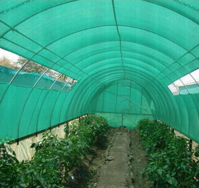 HDPE Agro Shade Net, Length : 90-100mtr