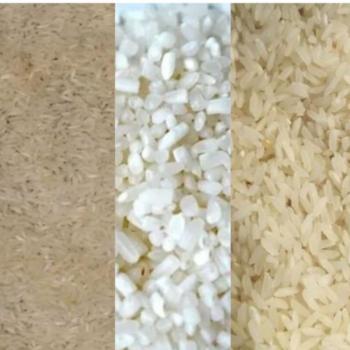 Sona Masoori Rice, For Salon, Color : White, Light White