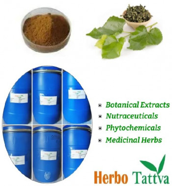 Mulberry Leaf Extract 1.0% - 1-Deoxynojirimycin (1-DNJ)