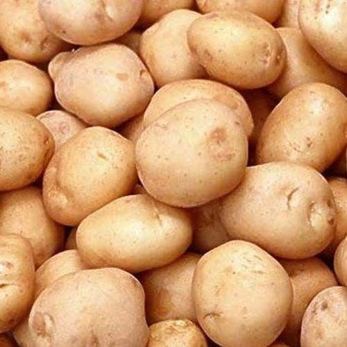 Round Organic Fresh Laukar Potato, For Human Consumption, Color : Brown