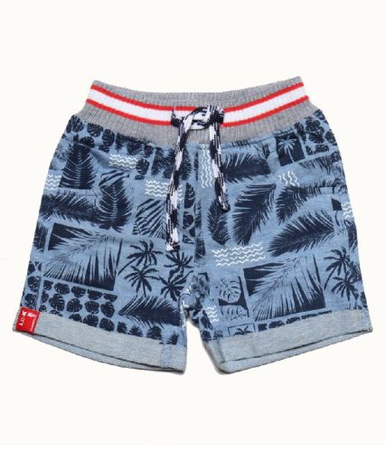 Printed Cotton Boys Shorts, Gender : Kids