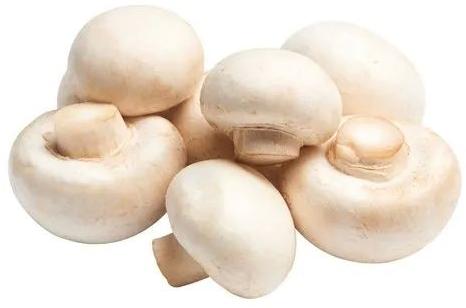 500gm Organic Button Mushroom, Certification : FSSAI Certified