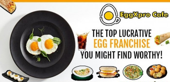 Egg Franchise Business Opportunity