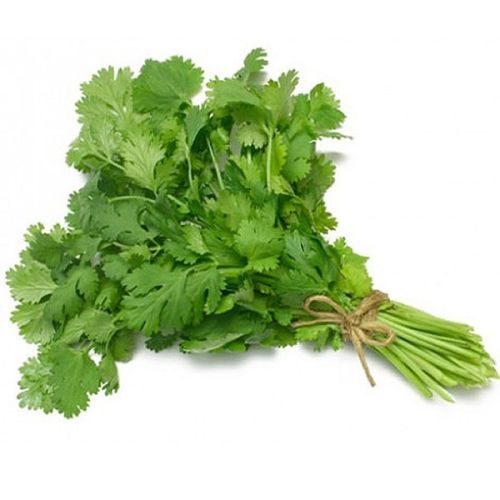 Fresh Coriander Leaves, Color : Green