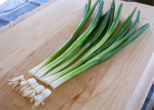 Organic Fresh Green Onion, Feature : Freshness, Good Purity