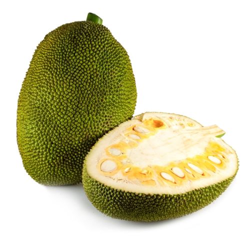 Organic Fresh Jackfruit, For Good Nutritions, Good Health, Color : Green