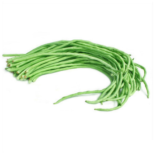 Organic Fresh Long Beans, Shelf Life : 7-10Days