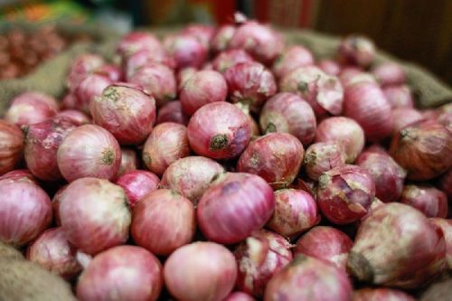 Organic Fresh Pink Onion