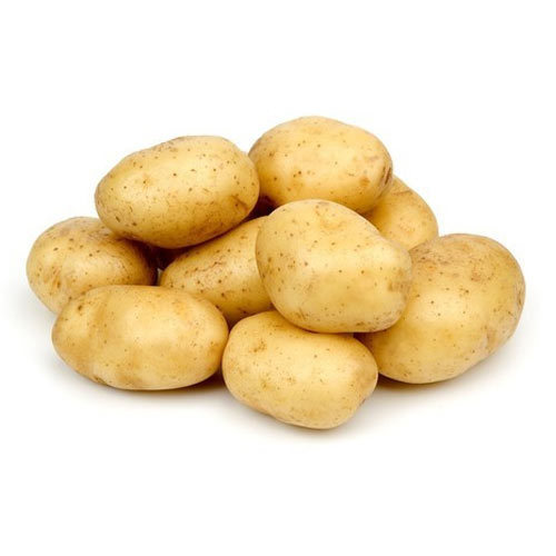 Organic Fresh Potato, For Good Nutritions, Good Health, Color : Brown