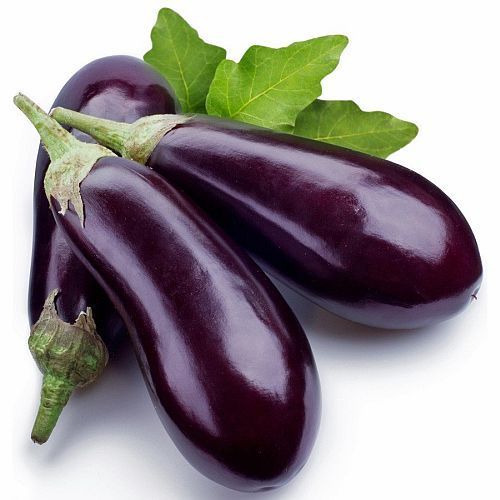 Organic Fresh Purple Brinjal, For Good Nutritions, Good Health