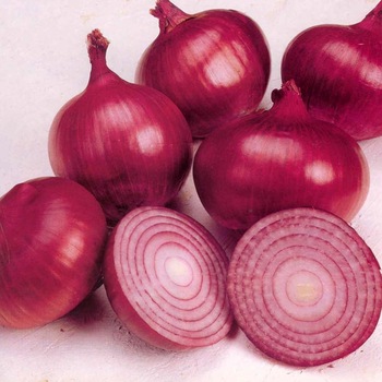 Organic Fresh Red Onion, Packaging Type : Plastic Packet