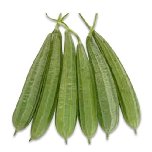 Organic Fresh Snake Gourd, For Good Nutritions, Good Health, Size : 30 - 40 Cm