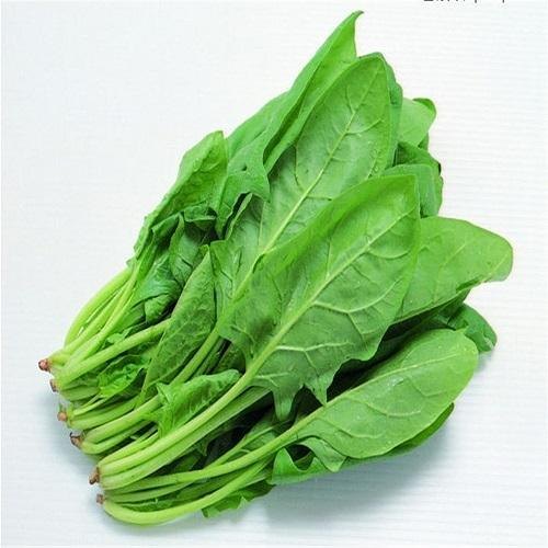 Organic Fresh Spinach Leaves, For Good Nutritions, Good Health, Color : Light Green