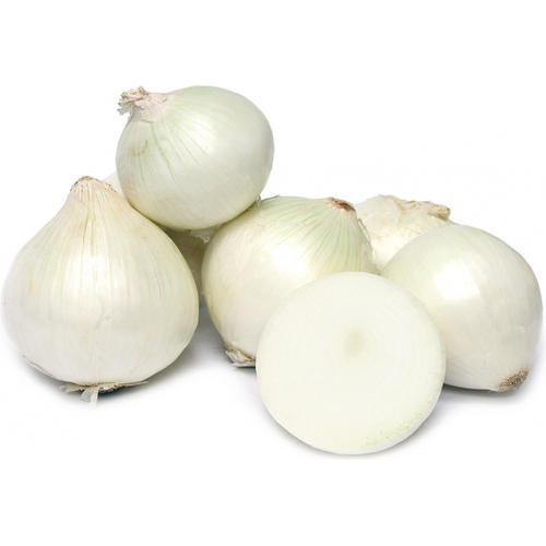 Organic Fresh White Onion, Packaging Type : Net Bags