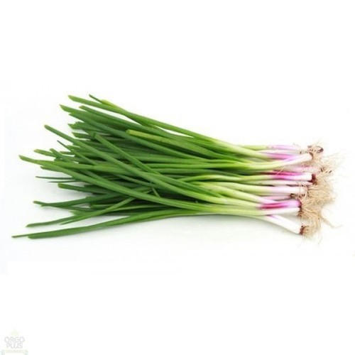 Organic Fresh Spring Onion, For Snacks, Fast Food, Cooking, Packaging Type : Net Bag