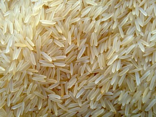 1121 Basmati Golden Rice, For Food, Packaging Size : 20Kg