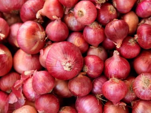 Round Onions, For Human Consumption, Cooking, Home, Hotels, Onion Size Available : Medium