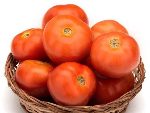 Organic Fresh Tomato, Color : Red