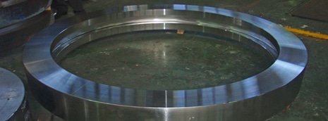 Hastelloy C276 Rings