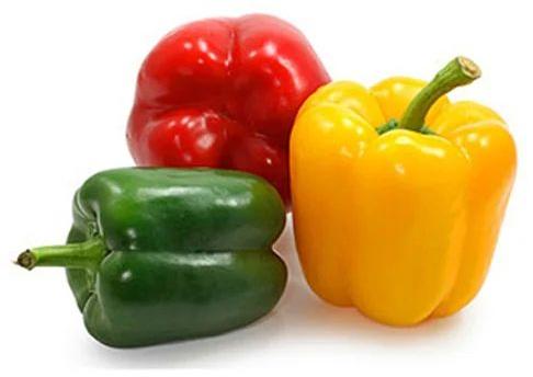 Fresh Bell Pepper, Packaging Size : 20 Kg