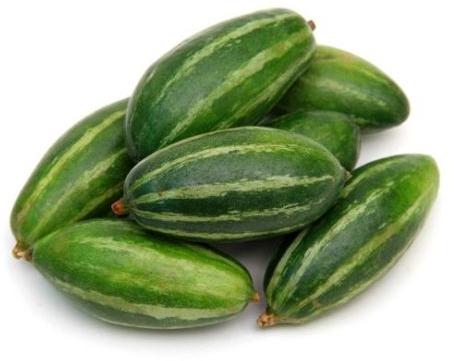 Organic Fresh Pointed Gourd, For Human Consumption, Packaging Size : 25kg