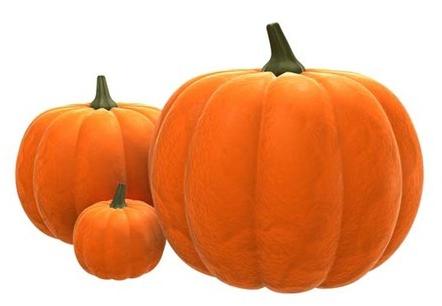 Organic Fresh Pumpkin, For Human Consumption, Packaging Size : 25kg