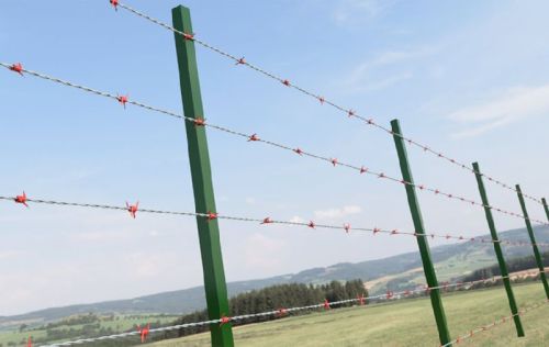 Barbed Wire Fence, Length : 0-10mtr