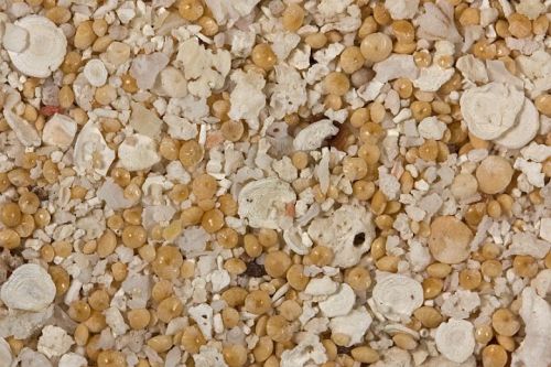 Mixed Carbonate Silicate Sand, Grade : 10/20