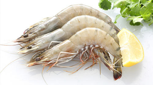 Fresh White Prawns, Shelf Life : 1week