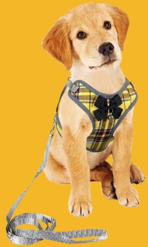 BFF Dog Check Bow Collar, Width : 1inch
