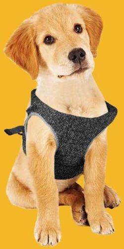 BFF Soft Padded Harness, Size : 14x15Inch